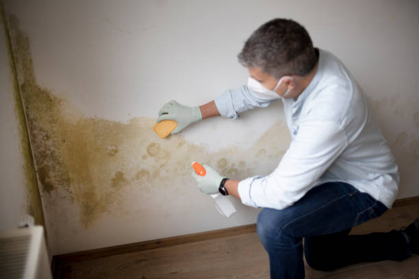 Asbestos and Lead Testing During Mold Inspection in Bacliff, TX